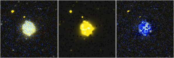 Missing file NGC4561-custom-montage-FUVNUV.png