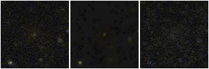 Missing file PGC042046-custom-montage-FUVNUV.png