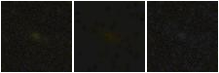 Missing file PGC042057-custom-montage-FUVNUV.png