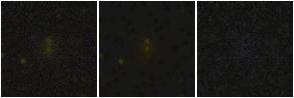 Missing file PGC042062-custom-montage-FUVNUV.png