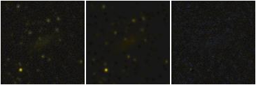 Missing file PGC042147-custom-montage-FUVNUV.png