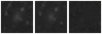 Missing file PGC042257-custom-montage-W1W2.png