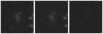 Missing file PGC042265-custom-montage-W1W2.png