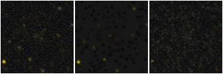 Missing file PGC042318-custom-montage-FUVNUV.png