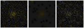 Missing file PGC042381-custom-montage-FUVNUV.png