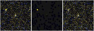 Missing file PGC1129667-custom-montage-FUVNUV.png