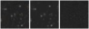 Missing file PGC1129667-custom-montage-W1W2.png