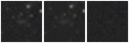 Missing file PGC1150986-custom-montage-W1W2.png