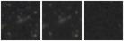 Missing file PGC1159978-custom-montage-W1W2.png