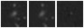 Missing file PGC2683704-custom-montage-W1W2.png