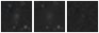 Missing file PGC2832117-custom-montage-W1W2.png
