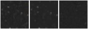 Missing file AGC229381-custom-montage-W1W2.png