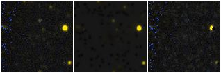 Missing file PGC042417-custom-montage-FUVNUV.png