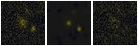 Missing file PGC042436-custom-montage-FUVNUV.png
