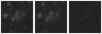 Missing file PGC042454-custom-montage-W1W2.png