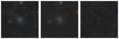 Missing file PGC042602-custom-montage-W1W2.png
