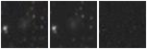 Missing file PGC042768-custom-montage-W1W2.png