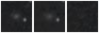 Missing file PGC042779-custom-montage-W1W2.png