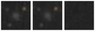Missing file PGC042853-custom-montage-W1W2.png