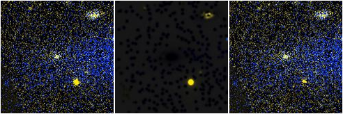 Missing file PGC086641-custom-montage-FUVNUV.png