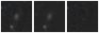Missing file PGC1155762-custom-montage-W1W2.png