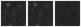 Missing file PGC1186061-custom-montage-W1W2.png