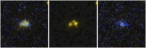 Missing file PGC1207559-custom-montage-FUVNUV.png