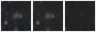 Missing file PGC1233057-custom-montage-W1W2.png
