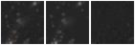 Missing file PGC2832120-custom-montage-W1W2.png