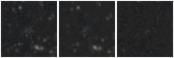 Missing file AGC227970-custom-montage-W1W2.png