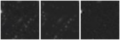 Missing file AGC732257-custom-montage-W1W2.png
