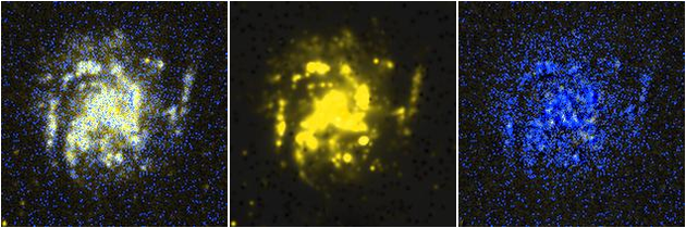 Missing file NGC4688-custom-montage-FUVNUV.png
