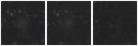 Missing file PGC042888-custom-montage-W1W2.png