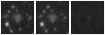 Missing file PGC042889-custom-montage-W1W2.png