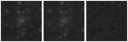 Missing file PGC042920-custom-montage-W1W2.png