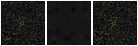 Missing file PGC043019-custom-montage-FUVNUV.png