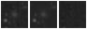 Missing file PGC1124896-custom-montage-W1W2.png