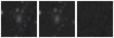 Missing file PGC1143451-custom-montage-W1W2.png
