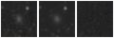 Missing file PGC1189866-custom-montage-W1W2.png