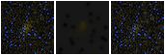 Missing file PGC1212399-custom-montage-FUVNUV.png
