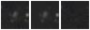 Missing file PGC1212399-custom-montage-W1W2.png