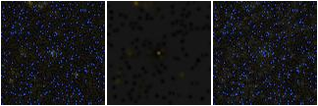 Missing file PGC1234100-custom-montage-FUVNUV.png