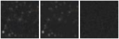 Missing file PGC1234100-custom-montage-W1W2.png