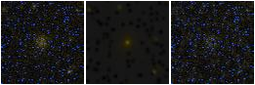 Missing file PGC1242969-custom-montage-FUVNUV.png