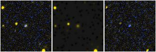 Missing file PGC1283313-custom-montage-FUVNUV.png