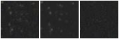 Missing file PGC3295235-custom-montage-W1W2.png