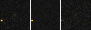 Missing file SDSSJ124545.05+121408.5-custom-montage-FUVNUV.png