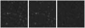 Missing file WSRT-CVN19-custom-montage-W1W2.png