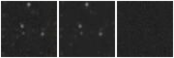 Missing file AGC227972-custom-montage-W1W2.png