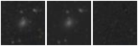 Missing file PGC043580-custom-montage-W1W2.png